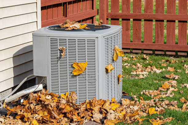 Best HVAC tune-up services  in Martindale, TX